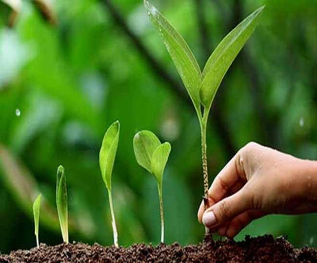 प्रकृति के उपहारों से खाली होती जा रही दुनिया